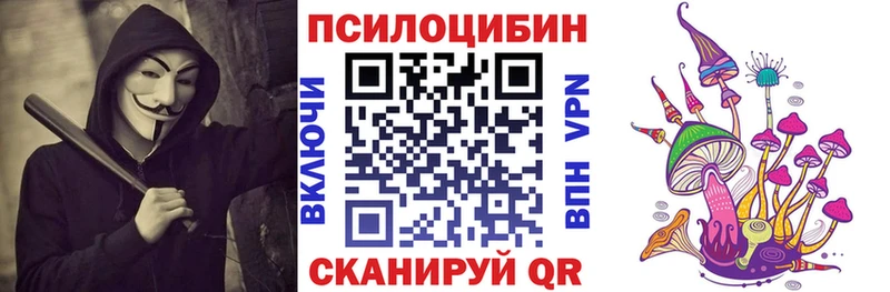 мориарти состав  KRAKEN рабочий сайт  Камышин  Галлюциногенные грибы прущие грибы 